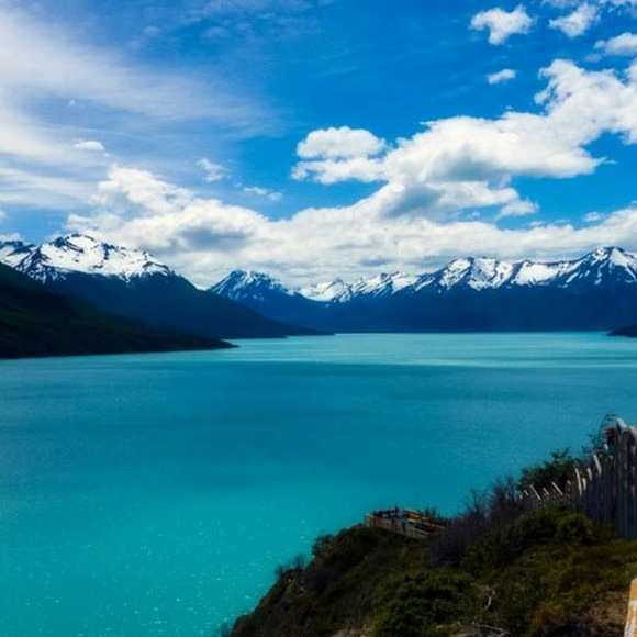 Meet your Posher, Renea - Picture 1 of 1